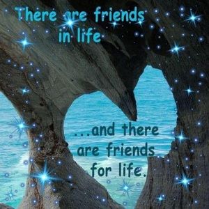 Meet your Posher, Cathy